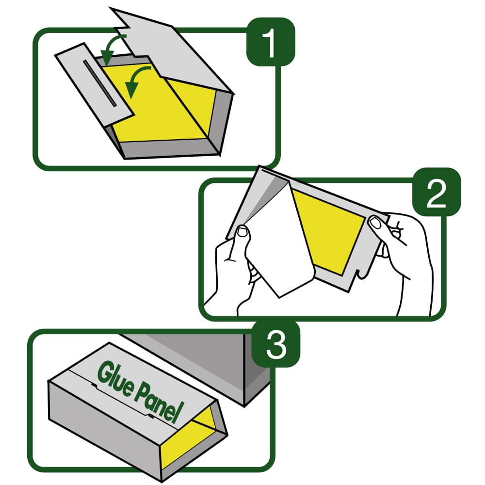 מלכודת דבק גלו פאנל M – תמונה 3
