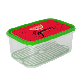 קופסה לפירות וירקות 4.4 ליטר + תחתית רשת