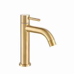 ברז פרח מים קרים דגם 10